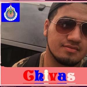 Meet your Posher, Pedro